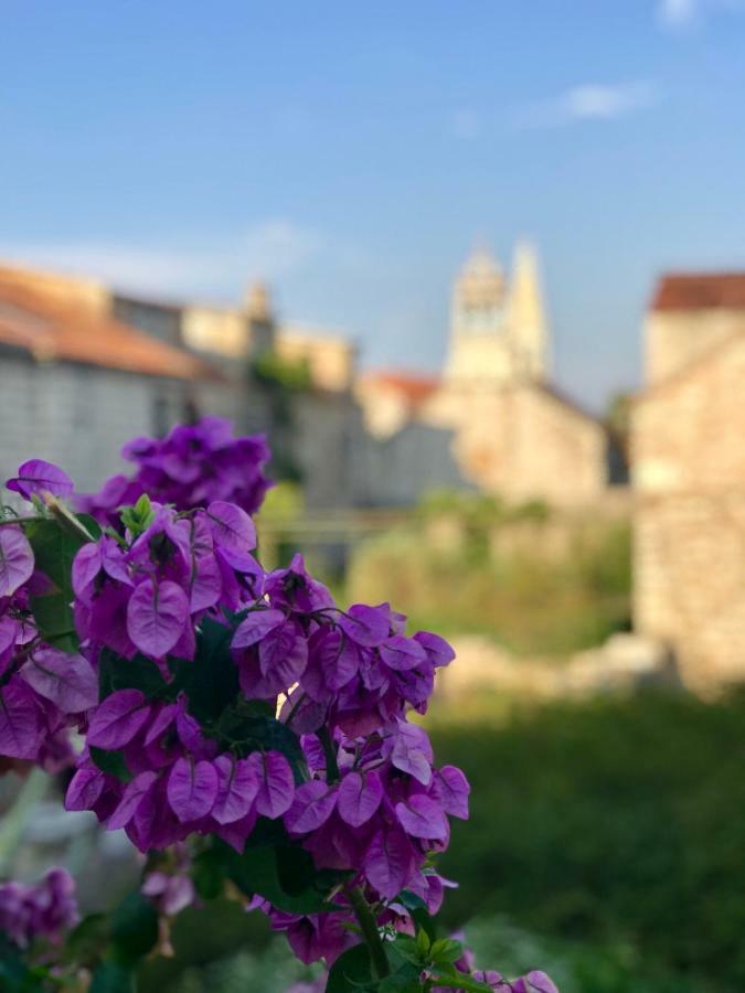 Appartamento Apt Bobotovi In Center Of Stari Grad, Hvar Stari Grad  Esterno foto